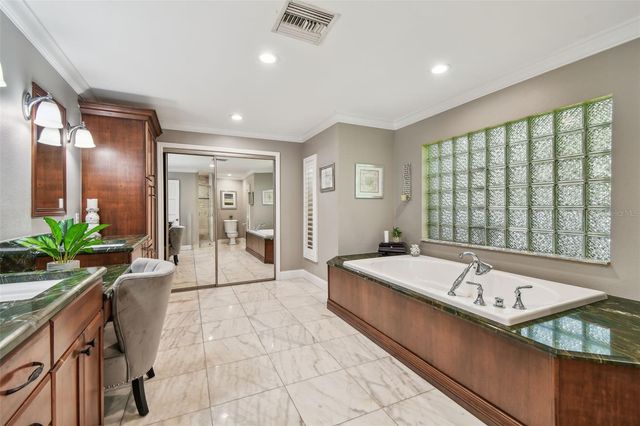 16205 SENTRY WOOD COURT, Odessa, FL 33556