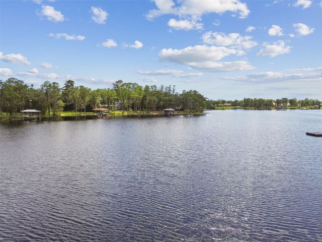 16205 SENTRY WOOD COURT, Odessa, FL 33556
