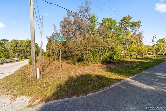 6775 W Stoney Gap Court, Crystal River, FL 34429