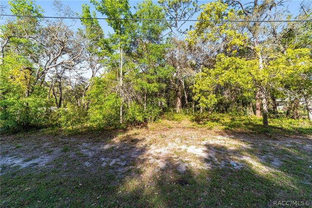 6775 W Stoney Gap Court, Crystal River, FL 34429