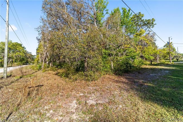 6775 W Stoney Gap Court, Crystal River, FL 34429