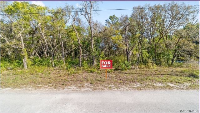 6775 W Stoney Gap Court, Crystal River, FL 34429