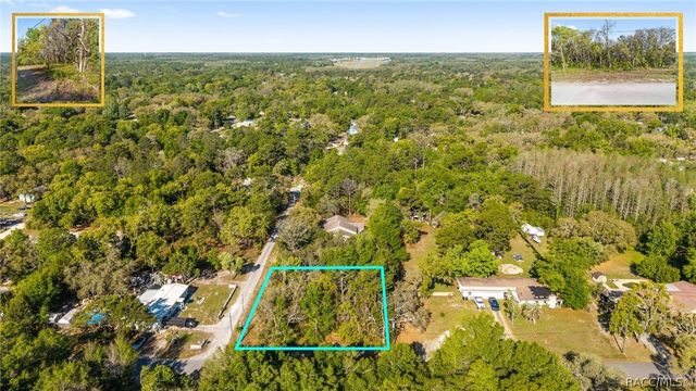 6775 W Stoney Gap Court, Crystal River, FL 34429