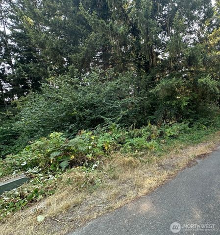 0 Lot 28 NE Wanda Court, Belfair, WA 98528