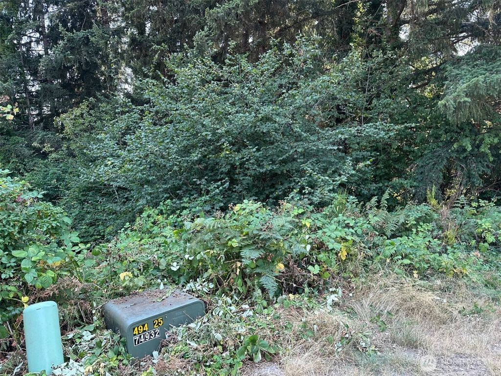 0 Lot 28 NE Wanda Court, Belfair, WA 98528