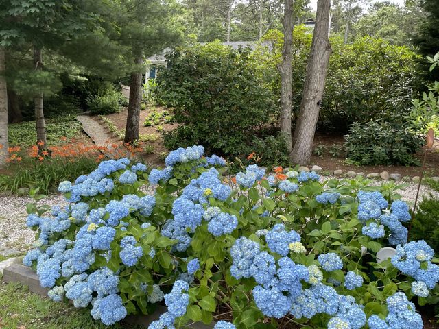 62 Maple Lane, Brewster, MA 02631