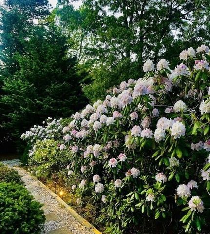 62 Maple Lane, Brewster, MA 02631