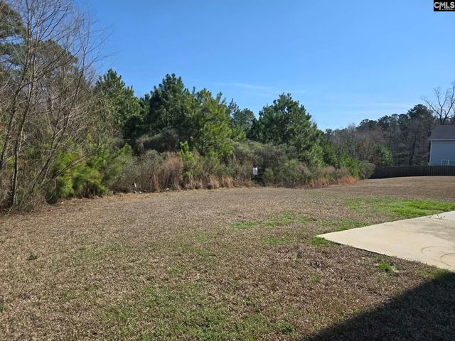 355 Spring Meadow Road, Columbia, SC 29223