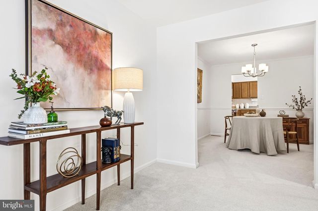 7433 SPRING TREE DR, Springfield, VA 22153