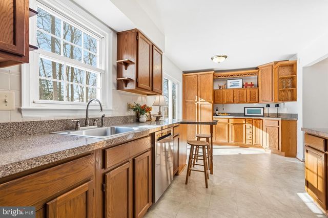 7433 SPRING TREE DR, Springfield, VA 22153