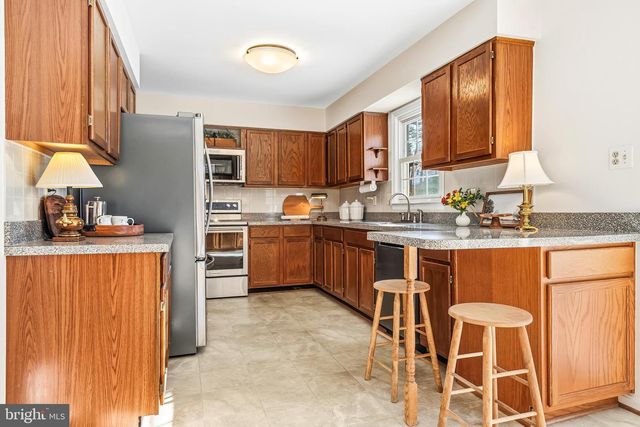 7433 SPRING TREE DR, Springfield, VA 22153