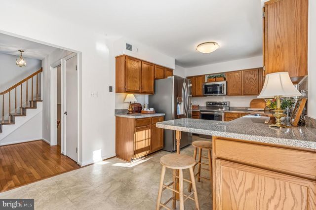 7433 SPRING TREE DR, Springfield, VA 22153