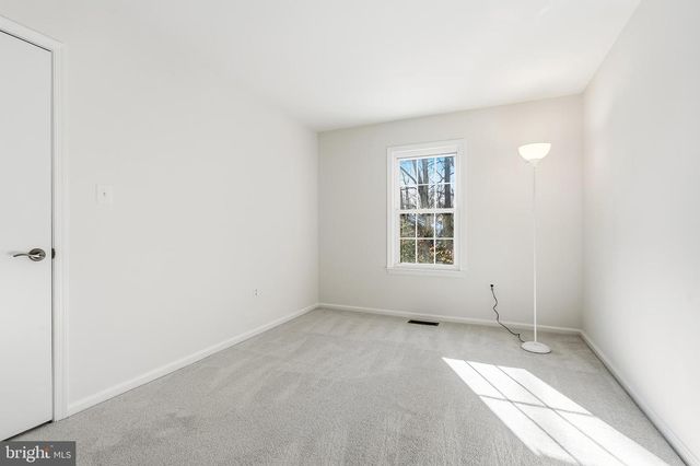 7433 SPRING TREE DR, Springfield, VA 22153