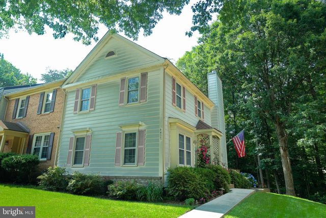 7433 SPRING TREE DR, Springfield, VA 22153