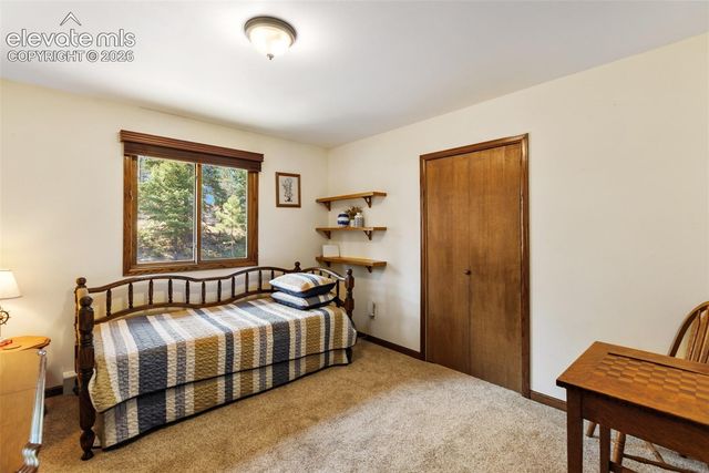 69 Cody Creek Trail, Divide, CO 80814