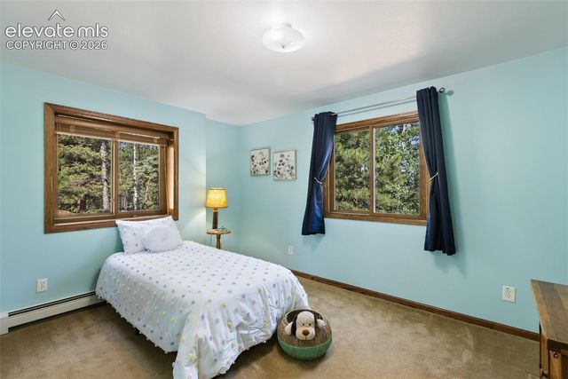 69 Cody Creek Trail, Divide, CO 80814