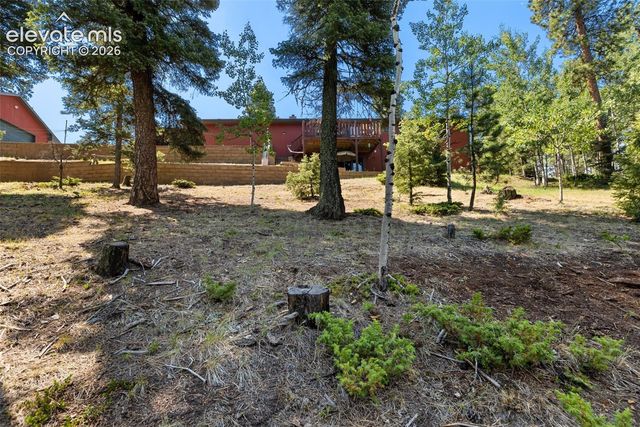 69 Cody Creek Trail, Divide, CO 80814