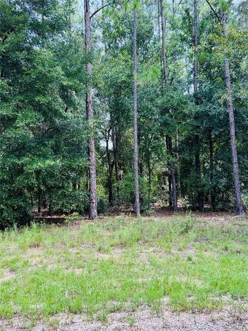 8681 N WALLINGFORD AVENUE, Citrus Springs, FL 34434