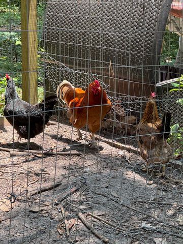 39 WIREGRASS Lane, Quincy, FL 32351