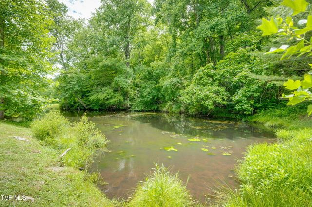 1008 Holly Meadow Road, Mountain City, TN 37683