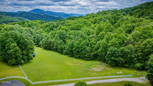 1008 Holly Meadow Road, Mountain City, TN 37683