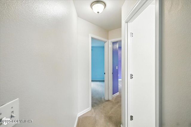 4543 S Twin Peaks Drive, Wasilla, AK 99654