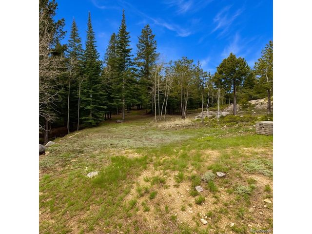 33606 Gap Rd, Golden, CO 80403