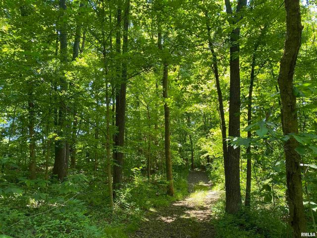 1640 PLEASANT RIDGE Road, Vienna, IL 62995