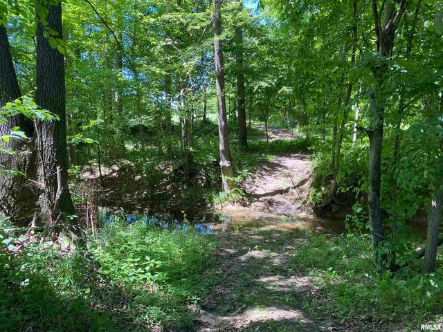 1640 PLEASANT RIDGE Road, Vienna, IL 62995