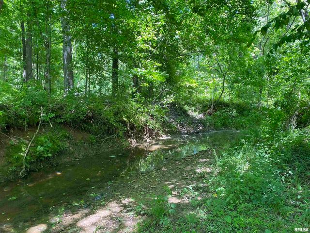 1640 PLEASANT RIDGE Road, Vienna, IL 62995