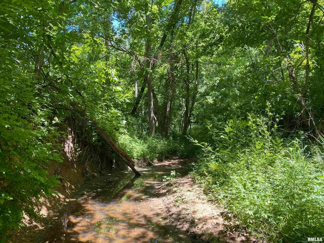 1640 PLEASANT RIDGE Road, Vienna, IL 62995