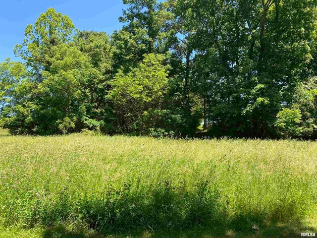 1640 PLEASANT RIDGE Road, Vienna, IL 62995