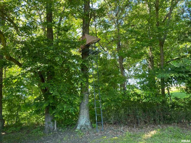 1640 PLEASANT RIDGE Road, Vienna, IL 62995