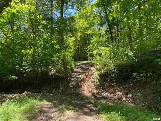 1640 PLEASANT RIDGE Road, Vienna, IL 62995