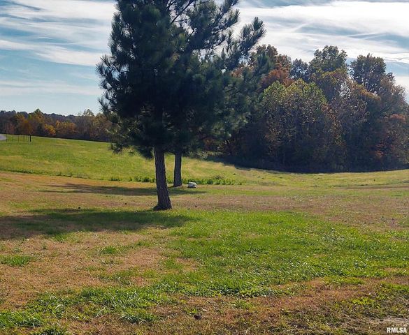 1640 PLEASANT RIDGE Road, Vienna, IL 62995