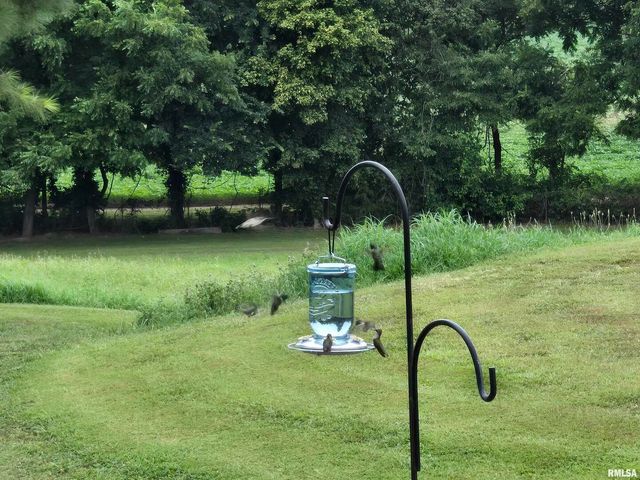 1640 PLEASANT RIDGE Road, Vienna, IL 62995