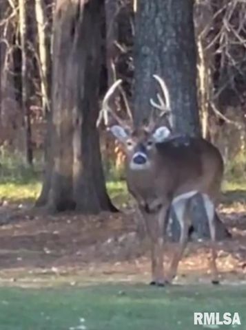 1640 PLEASANT RIDGE Road, Vienna, IL 62995