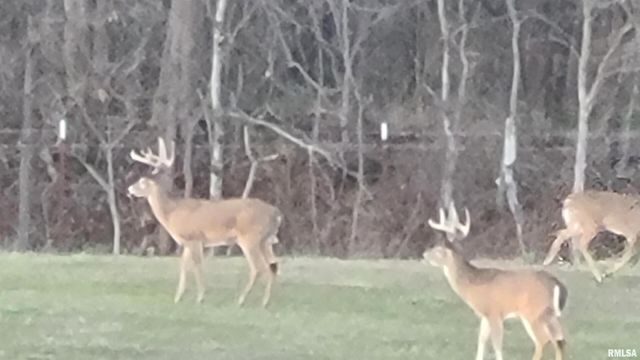 1640 PLEASANT RIDGE Road, Vienna, IL 62995