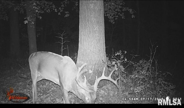 1640 PLEASANT RIDGE Road, Vienna, IL 62995