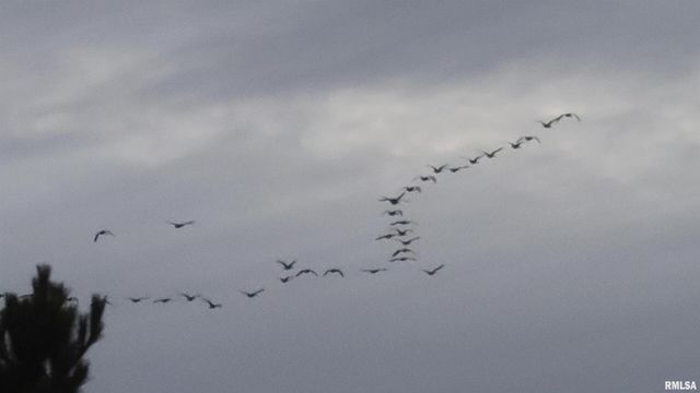 1640 PLEASANT RIDGE Road, Vienna, IL 62995