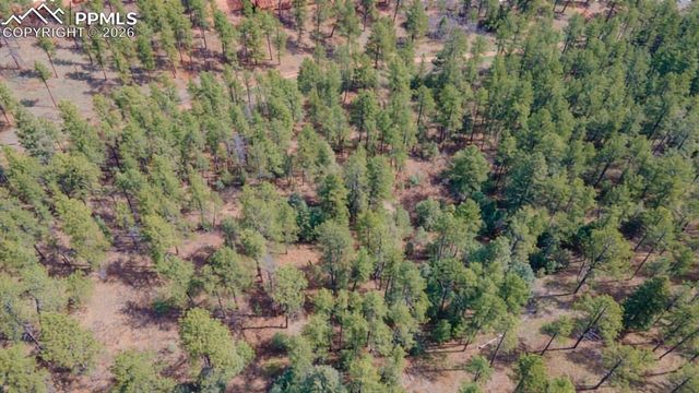 8257 Bannock Drive, Larkspur, CO 80118