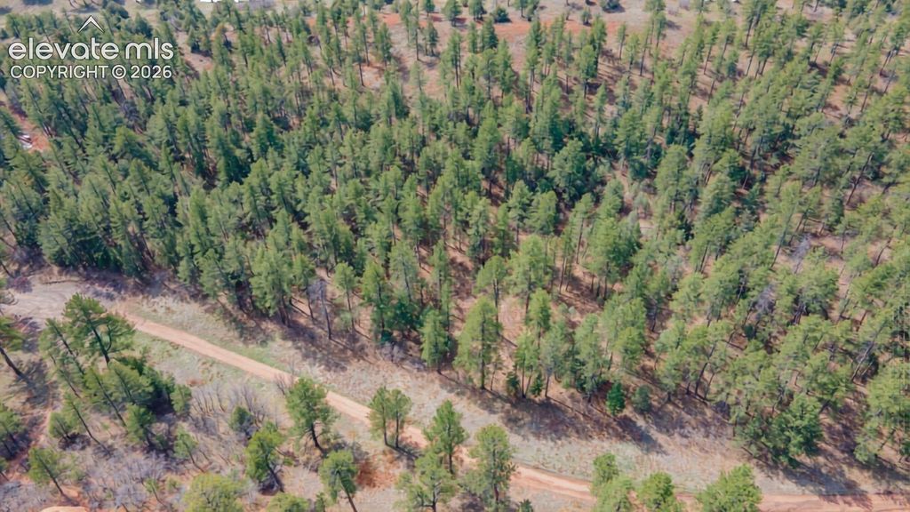 8257 Bannock Drive, Larkspur, CO 80118 — photo 5