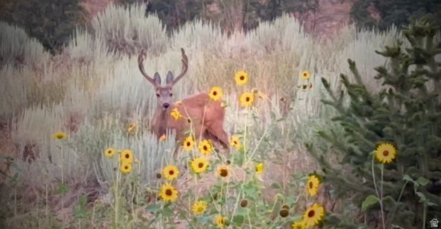 2254 S VALLEY DR, Mapleton, UT 84664