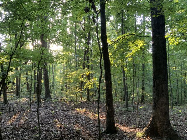 330 Durwachter Rd, Dover, TN 37058