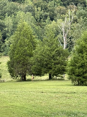 330 Durwachter Rd, Dover, TN 37058