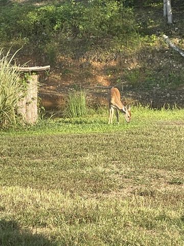 330 Durwachter Rd, Dover, TN 37058