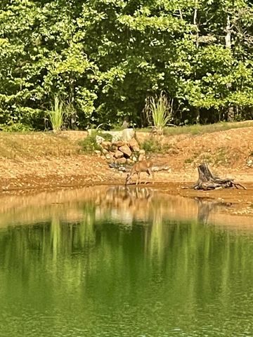 330 Durwachter Rd, Dover, TN 37058