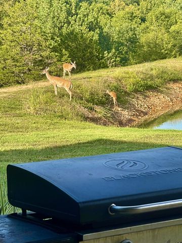 330 Durwachter Rd, Dover, TN 37058