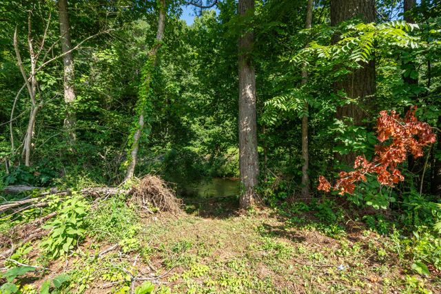 474 Duncan Rd, Centerville, TN 37033