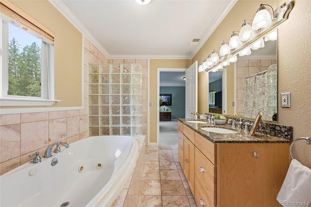 9128 Krashin Drive, Conifer, CO 80433